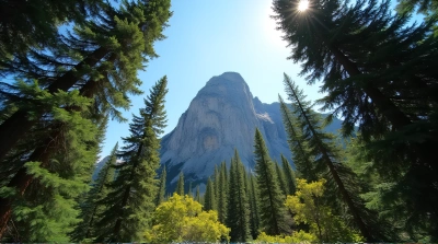 Evergreens Surrounding Rugged Peak Under Sunlight