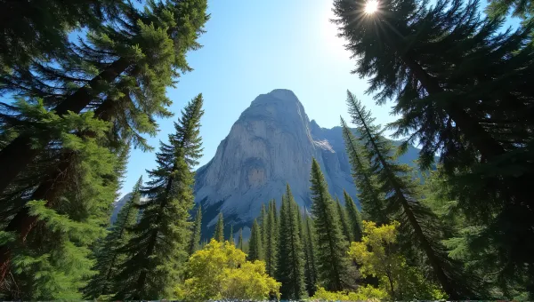 Evergreens Surrounding Rugged Peak Under Sunlight