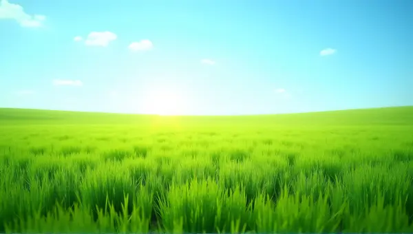 Expansive Emerald Meadow Under Blue Sky