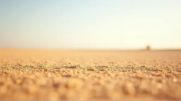 Wide view of fine tan particles covering the ground under a clear sky, highlighting granular detail and shadows.