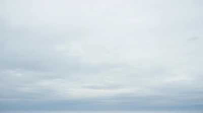 Expansive Horizon With Layered Silver Clouds