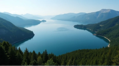 Expansive Lake Surrounded By Dense Forests From Above