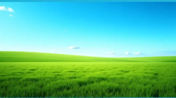 Expansive Lush Field Under Clear Sky