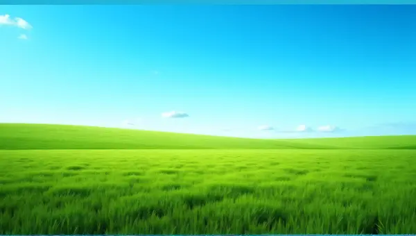 Expansive Lush Field Under Clear Sky