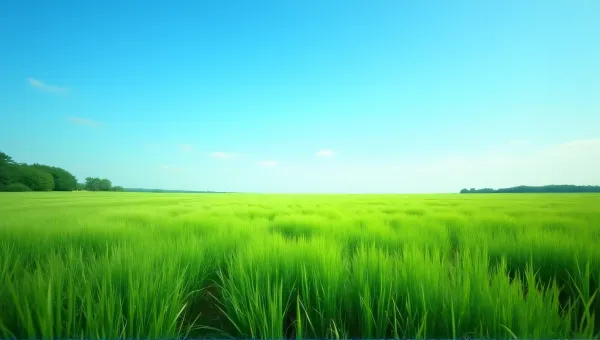 Expansive Meadow Under Clear Bright Sky