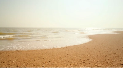 Expansive Sandy Terrain Meeting Gentle Water Under Clear Sky