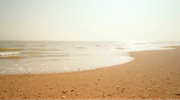 Wide sandy area touching calm shallow water illuminated by soft sunlight under a clear sky