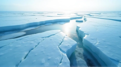 Expansive Transparent Ice With Intricate Patterns