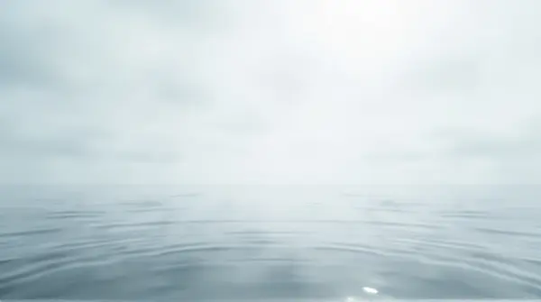 Large water body reflecting a cloudy white and pale silver sky with diffused light