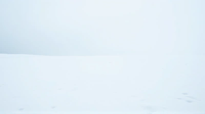 Expansive White Snowfield Under Overcast Sky