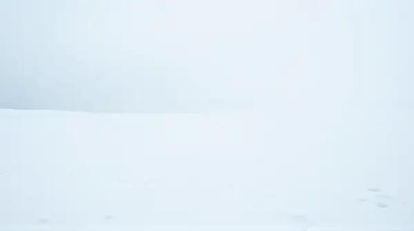 Expansive White Snowfield Under Overcast Sky