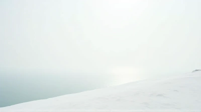 Expansive White Terrain Beside Shimmering Lake