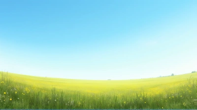 Expansive Wildflower Meadow Under Clear Blue Sky
