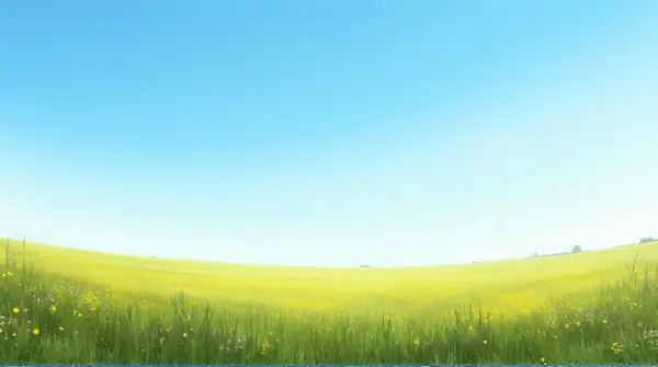 Wide view of a meadow filled with wildflowers under a bright blue sky from a low angle