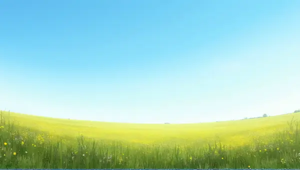 Expansive Wildflower Meadow Under Clear Blue Sky