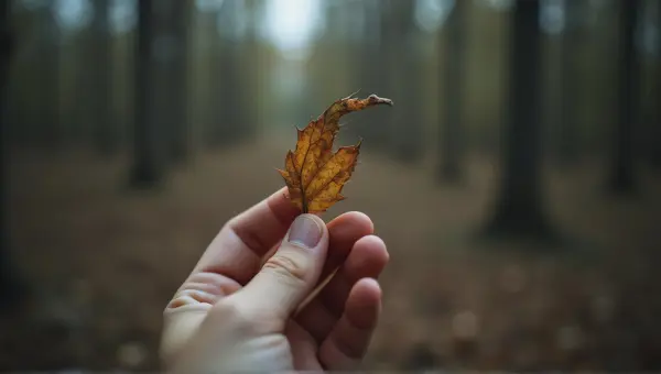 Fingers Holding Fragile Curled Leaves Close-Up