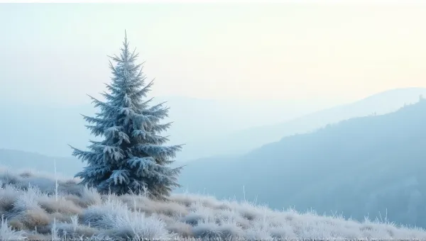 Frosted Conifer On Gentle Slope Under Pale Sky