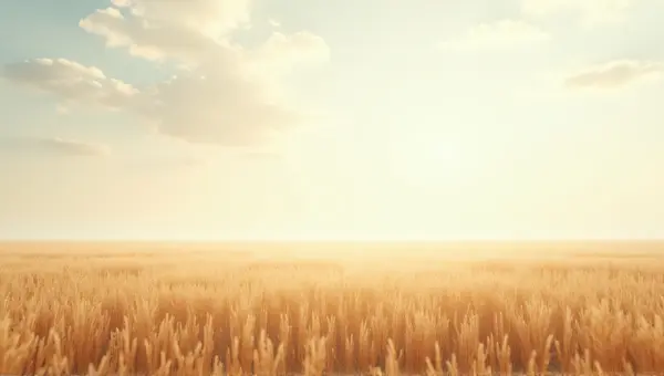 Golden Dry Meadow With Soft Sky Wisps