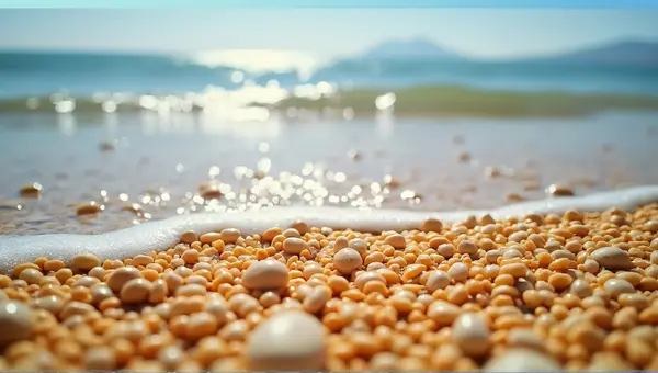 Golden Grains Meeting Clear Tide Under Bright Sky