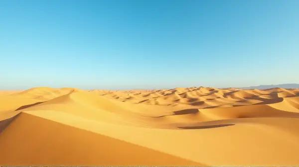 Golden rolling hills shaped by wind under a bright clear blue sky from a low perspective.
