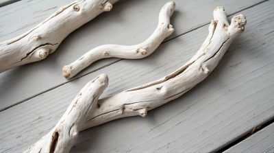 Gray Bleached Driftwood Texture With Shadows