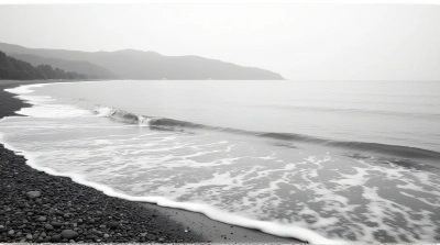 Grayscale Shoreline Scene With Pebbled Edge