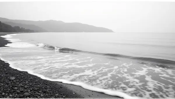 Grayscale Shoreline Scene With Pebbled Edge