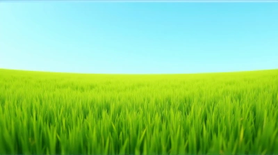 Green Grass Field Under Clear Blue Sky