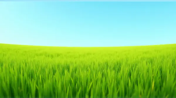 Green Grass Field Under Clear Blue Sky
