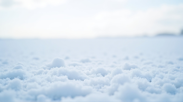 Selective focus on detailed icy crystals spread across a vast white ground beneath a pale sky.