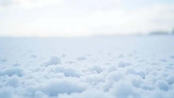 Icy Crystals On White Ground Cover Under Pale Sky