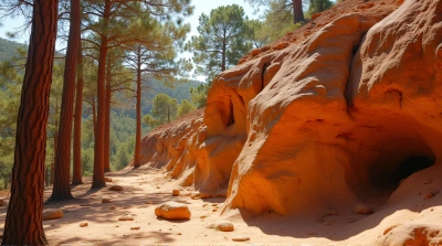 Jagged Ochre Stone Outcrop With Tall Leafy Trees