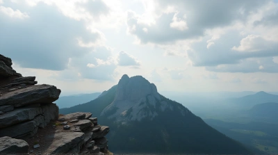 Jagged Rocky Peak Above Expansive Tree Canopy