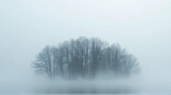 Cluster of leafless gray trees rising through dense swirling fog under an overcast sky