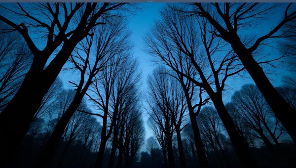 Leafless Tree Grove With Intricate Branch Patterns