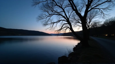 Leafless Tree Silhouette By Quiet Lake At Twilight