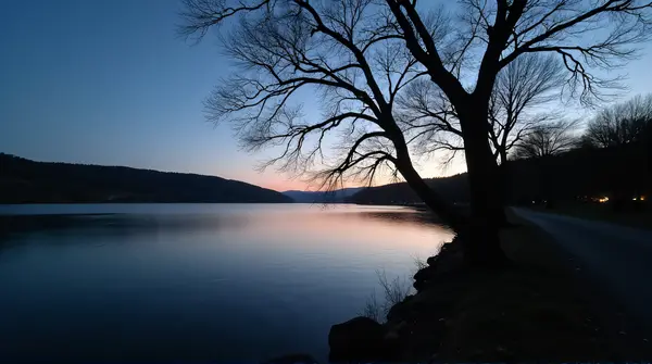 Leafless Tree Silhouette By Quiet Lake At Twilight