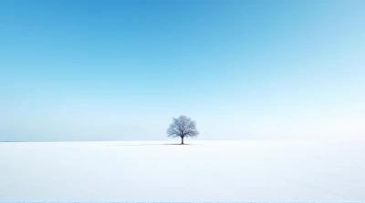 Leafless Tree Surrounded By Frosty White Landscape