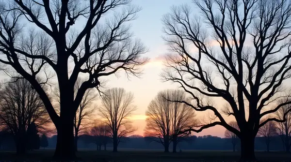 Leafless Trees Against Pastel Sky At Twilight