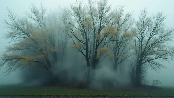 Leafy Branches Covered In Swirling Vapor