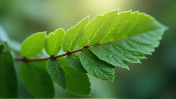 Leafy Sprig Close-Up Showing Detailed Vein Patterns
