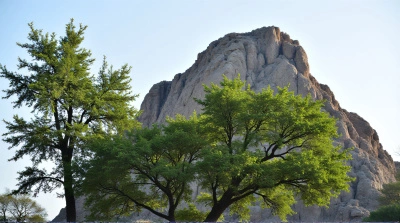 Leafy Trees Near Towering Rocky Peak Under Clear Sky