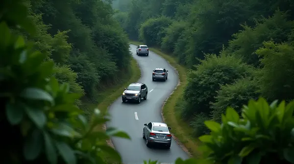 Light-colored vehicles moving along a curved pathway surrounded by dense green plants, seen from above.