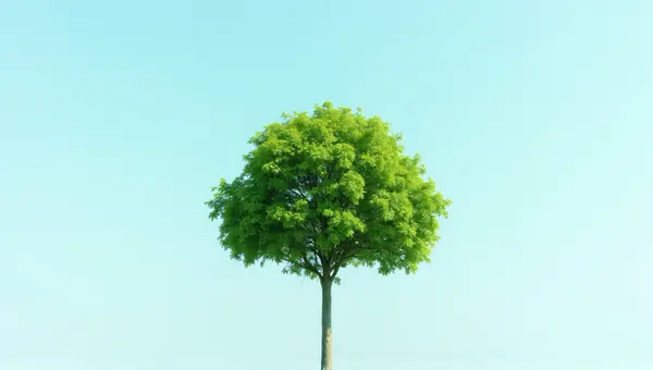 Lone Tree With Vibrant Emerald Leaves Sky Background