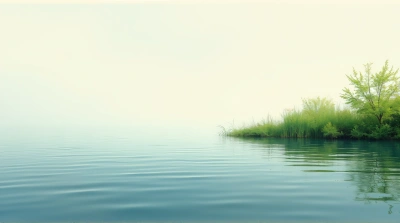 Lush Foliage By Peaceful Lake With Gentle Ripples