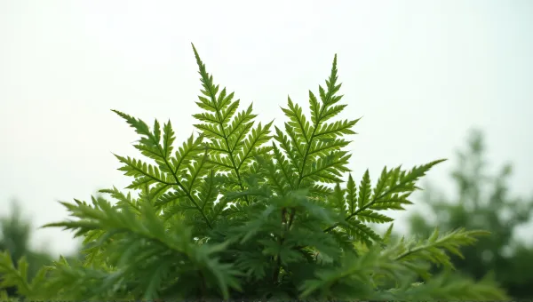 Lush Foliage Close-Up With Overcast Sky