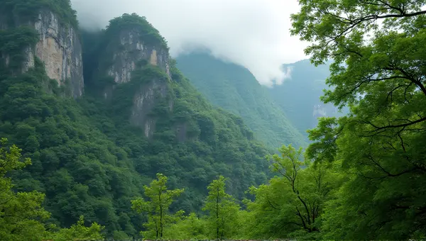 Lush Foliage Covering Rocky Peak With Mist