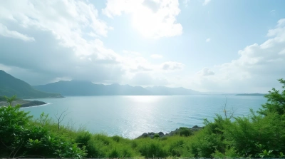 Lush Green Foliage Along Quiet Waterfront Scene