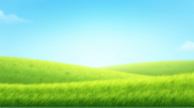 Lush Green Meadow Under Clear Blue Sky