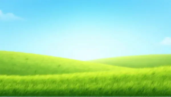Lush Green Meadow Under Clear Blue Sky